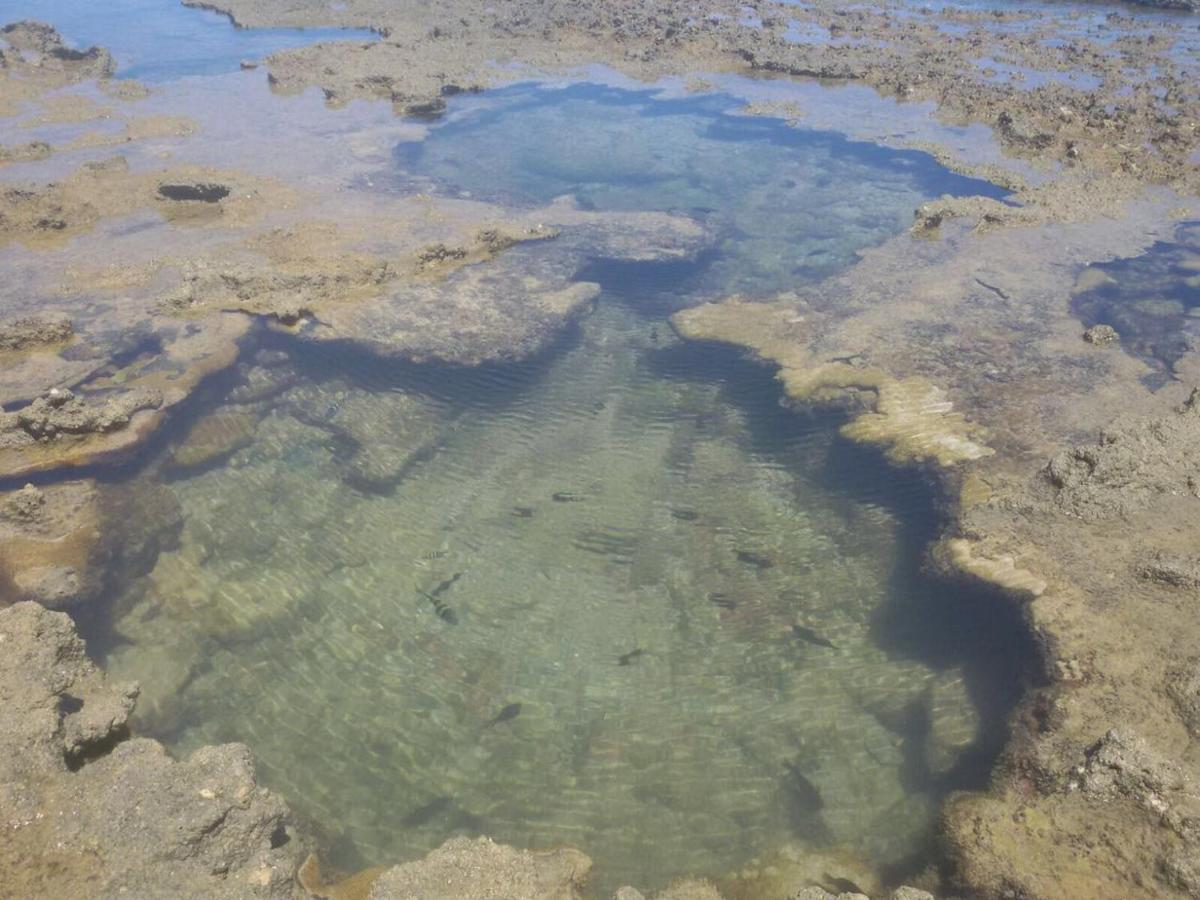 Pousada Recanto Da Enseada Cabo de Santo Agostinho Buitenkant foto